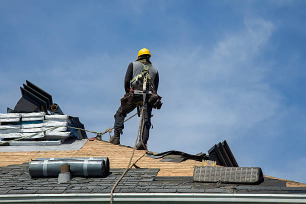 Professional Roof Installation technician working in Lawrence, MI